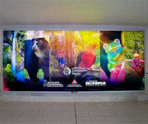 Imagen 2